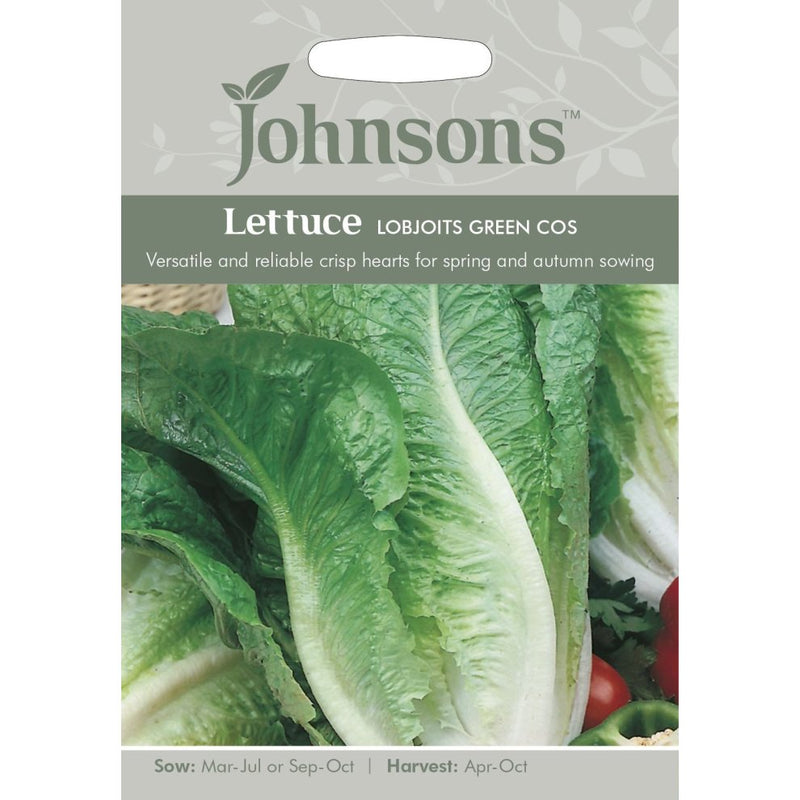 Lettuce Lobjoits Green Cos Seeds