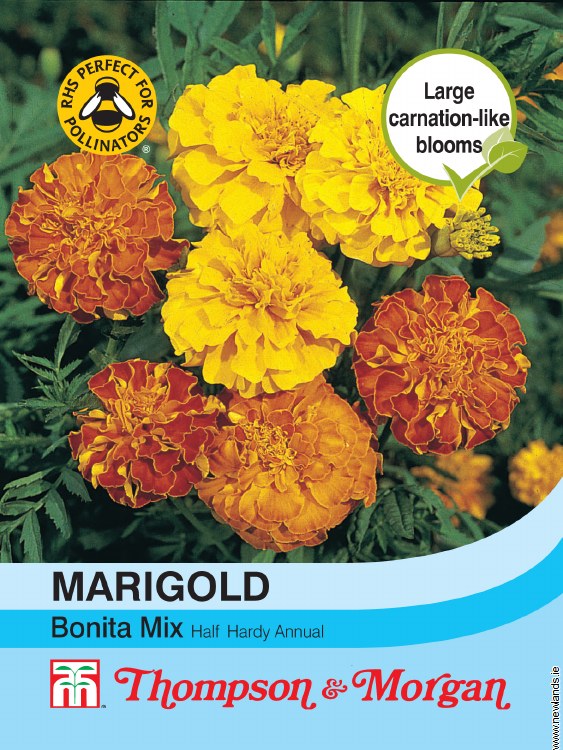Marigold Bonita Mixed (French) Flower Seeds
