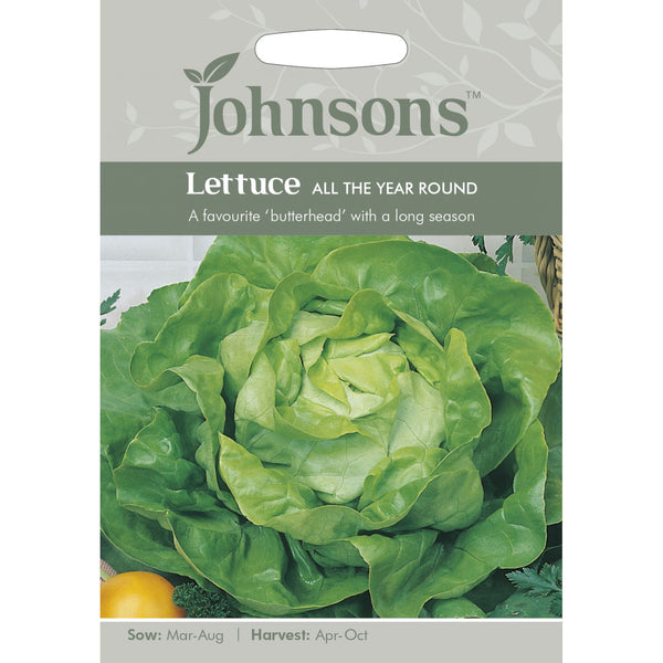 Lettuce All The Year Round Seeds