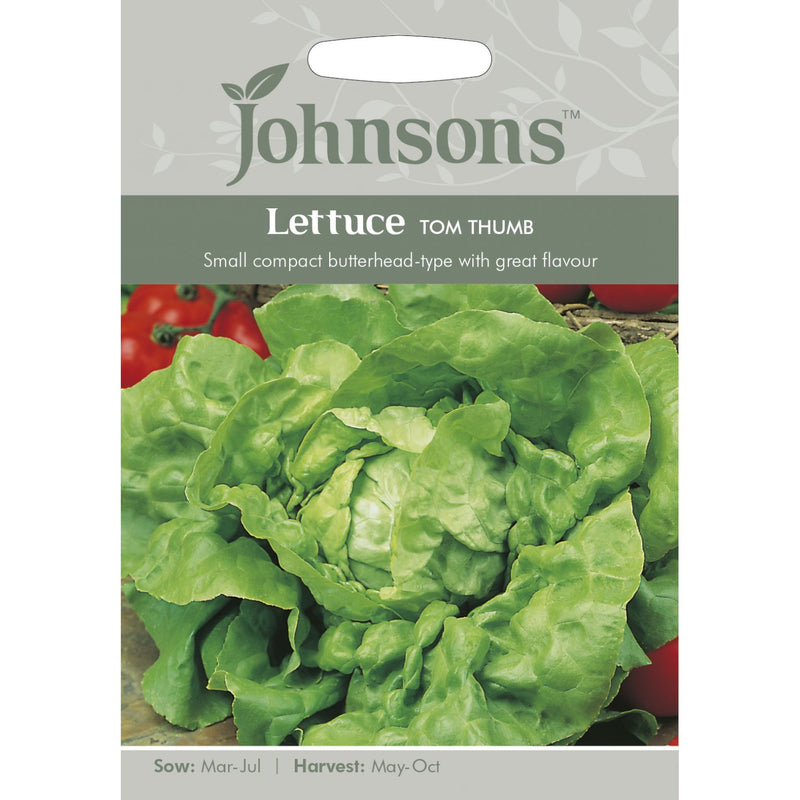 Lettuce Tom Thumb Seeds