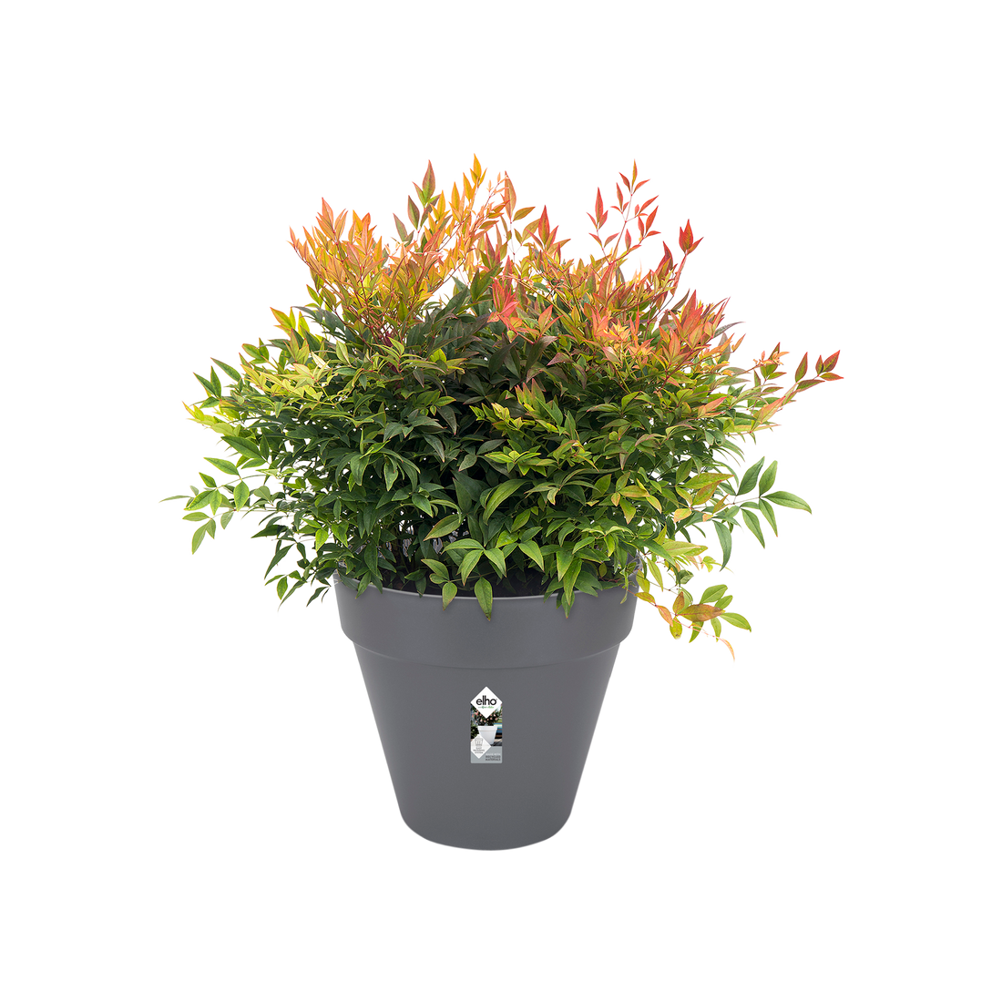 Loft Urban Round 20cm Anthracite | Cornwall Garden Shop | UK