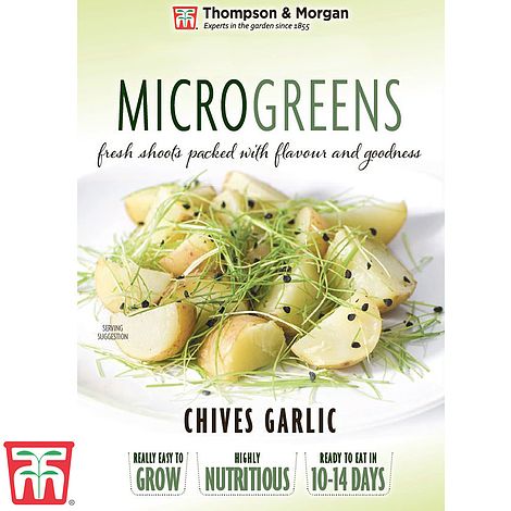 Microgreens Chives Garlic Seeds