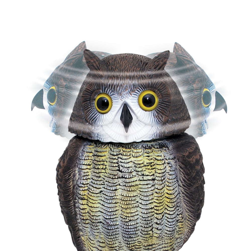 Owl Wind Action