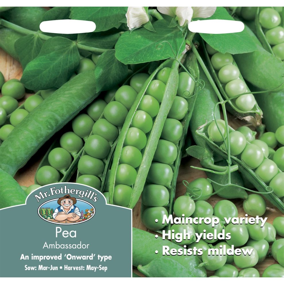 Pea Ambassador Seeds