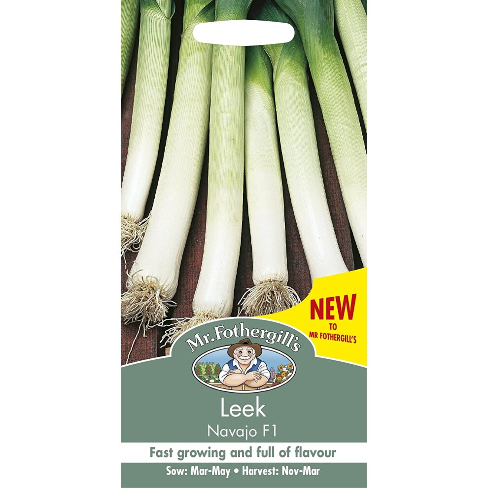 Leek Navajo F1 Seeds