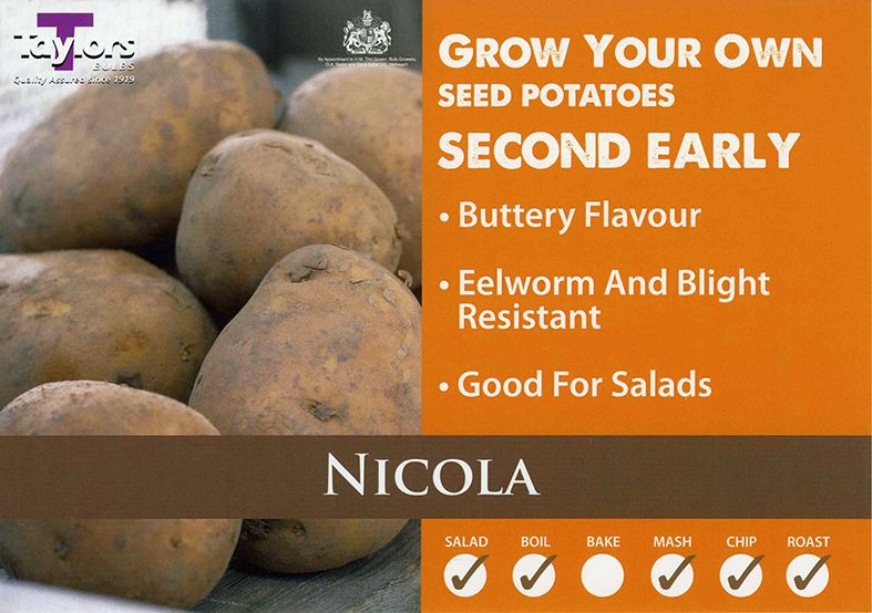 Nicola Second Early Seed Potatoes 2kg