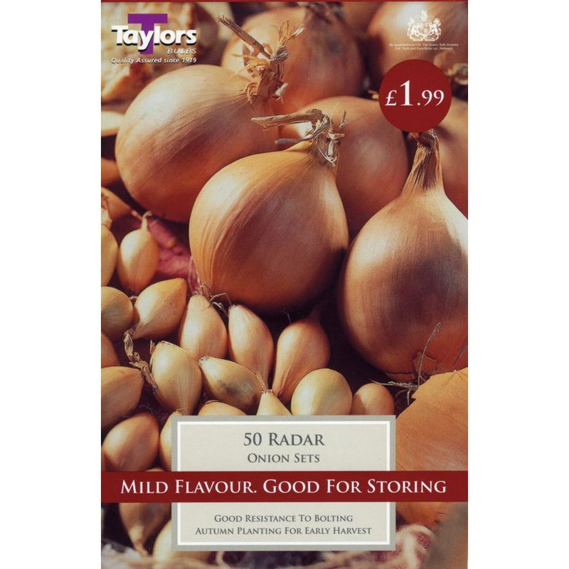 Onion Radar | Cornwall Garden Shop | UK