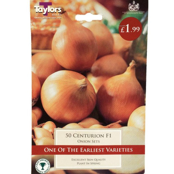 Centurion F1 Onion | Cornwall Garden Shop | UK