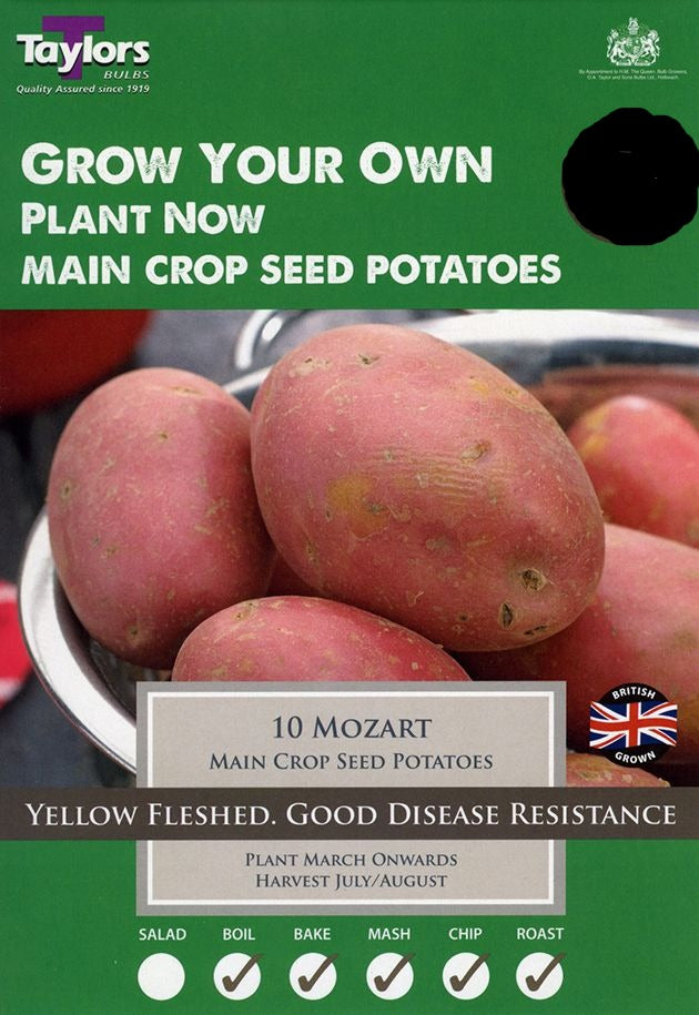 Mozart Main Crop Seed Potatoes (10)