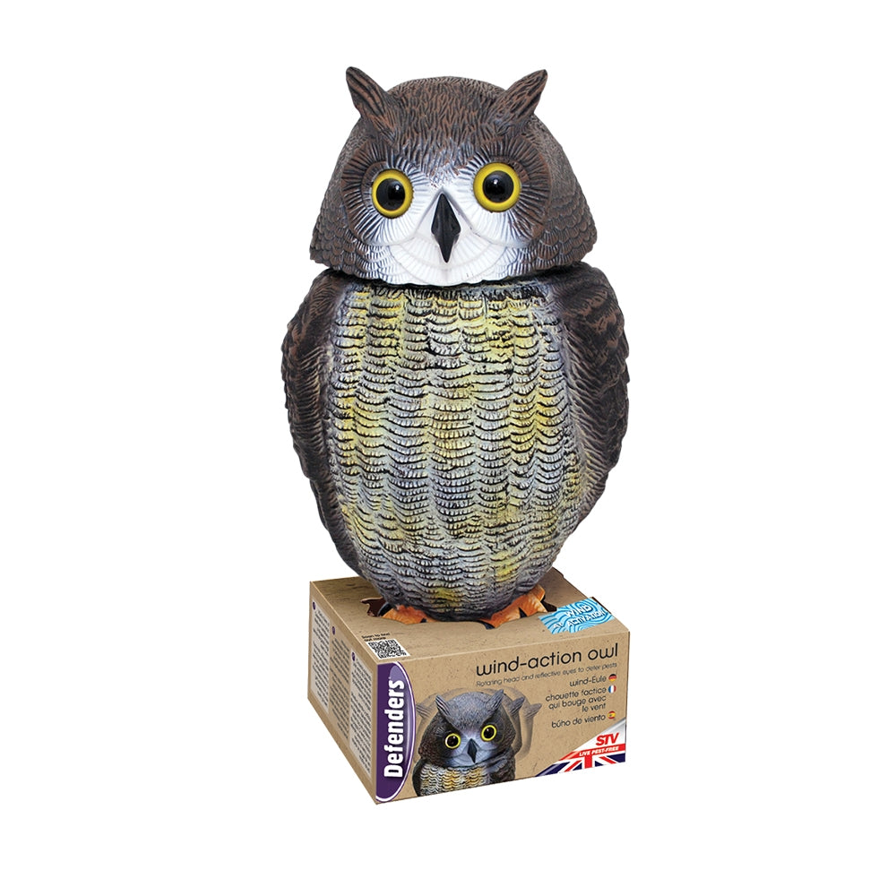 Owl Wind Action