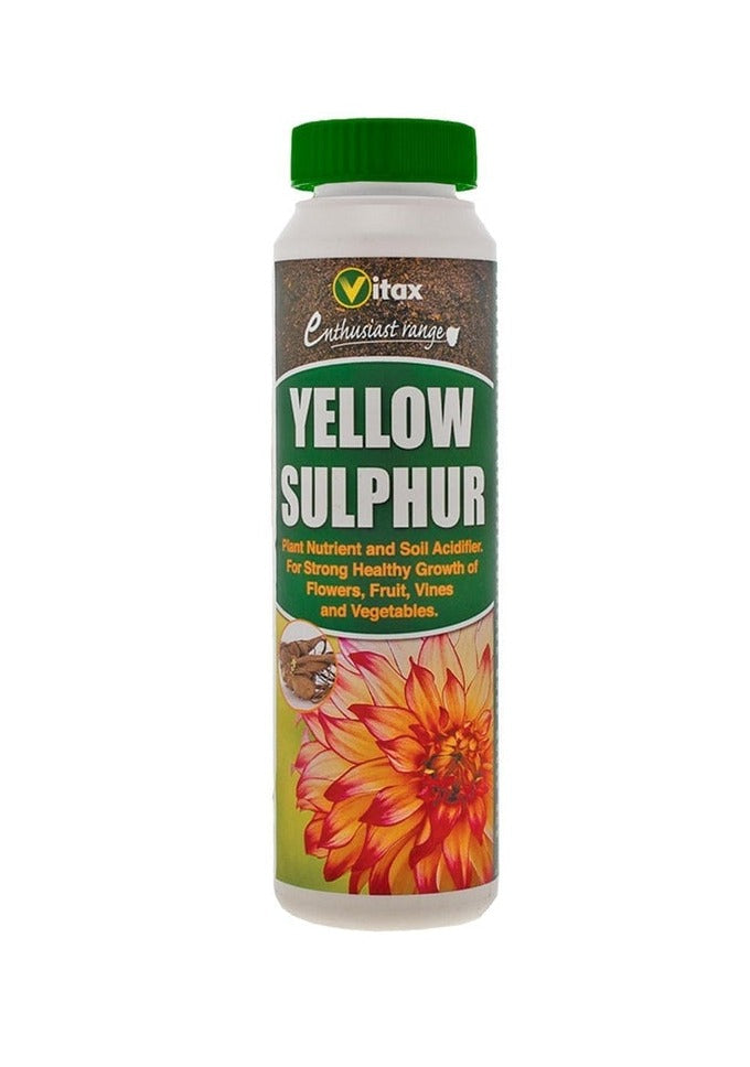 Yellow Sulphur | Cornwall Garden Shop | UK