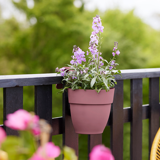 Vibia Campana Easy Hanger Small Dusty Pink | Cornwall Garden Shop | UK