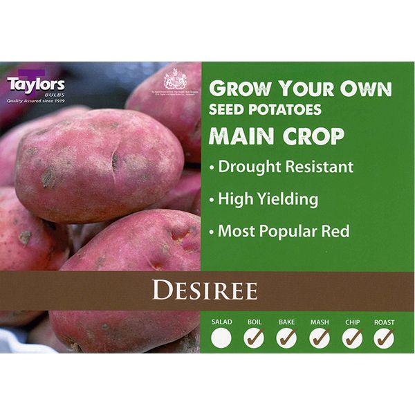 Desiree Main Crop Seed Potatoes 2kg