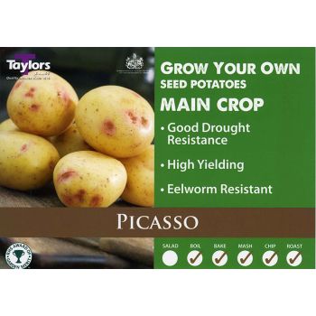 Picasso Main Crop Seed Potatoes 2kg