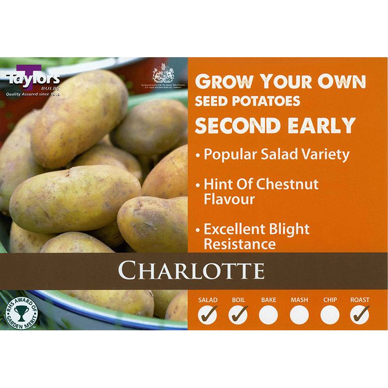 Charlotte Second Early Seed Potatoes 2kg