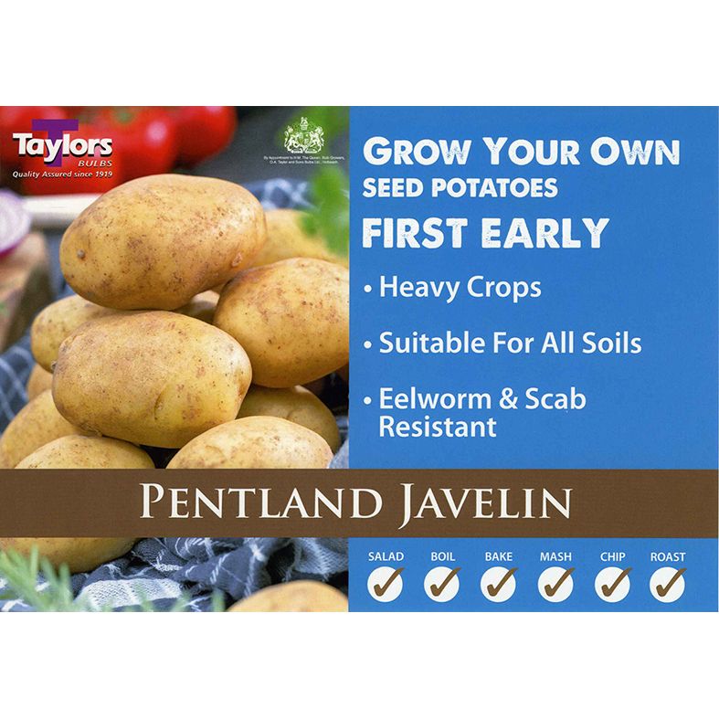 Pentland Javelin First Early Seed Potatoes 2kg