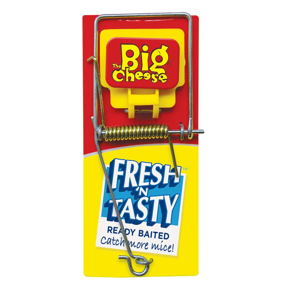 Mouse Trap Fresh Baited