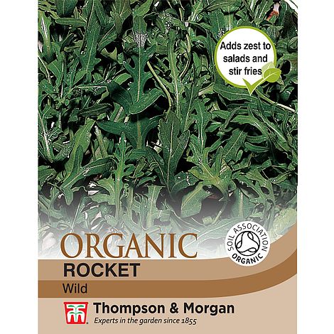 Rocket Wild (Organic) Herb Seeds