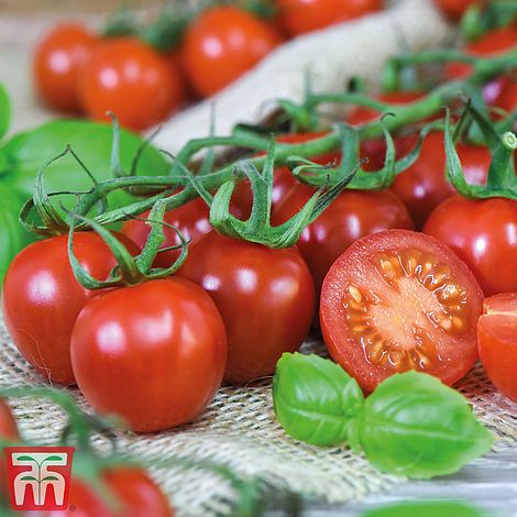 Tomato Rubylicious Seeds