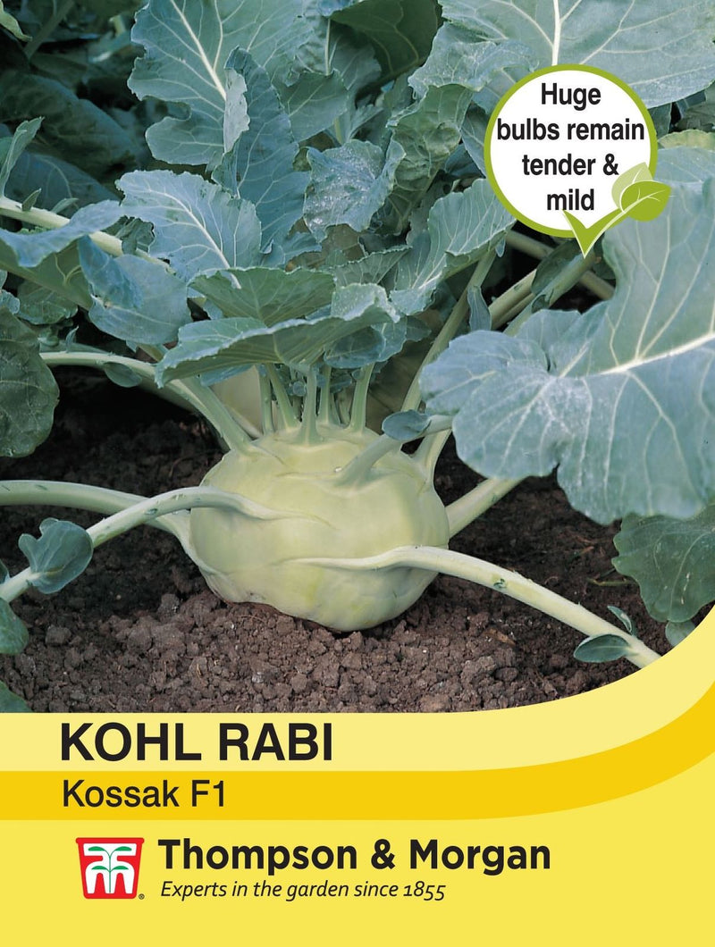 Kohl Rabi Kossak Seeds