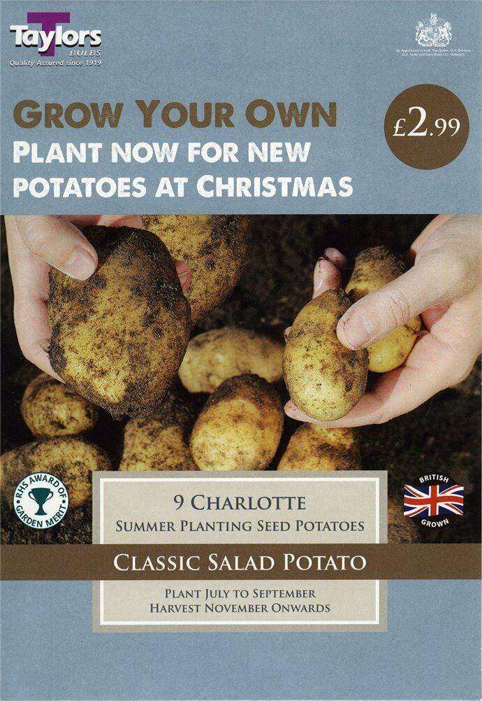 Charlotte Second Early Seed Potatoes (9)