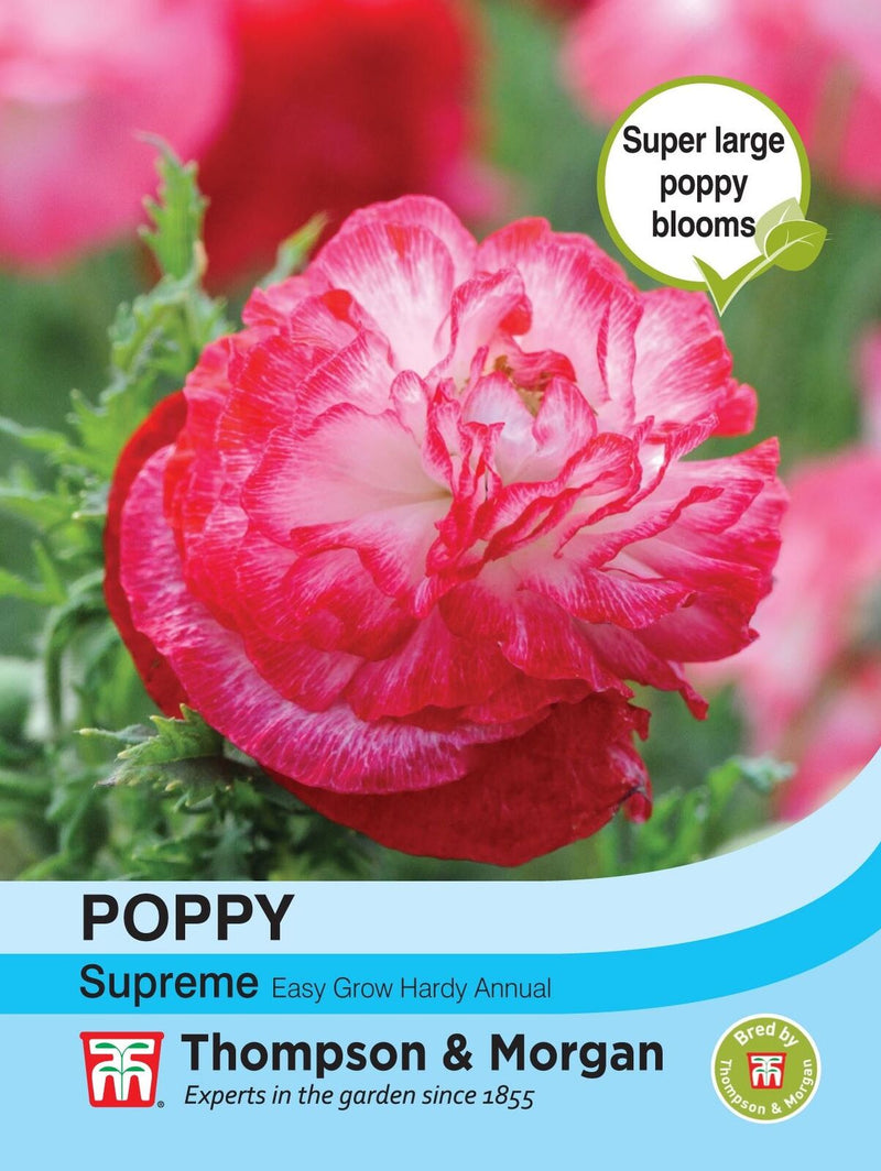Poppy Supreme Flower Seeds