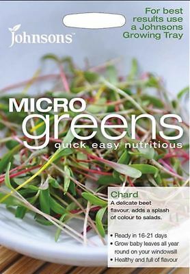 Microgreens Chard Bright Lights Seeds