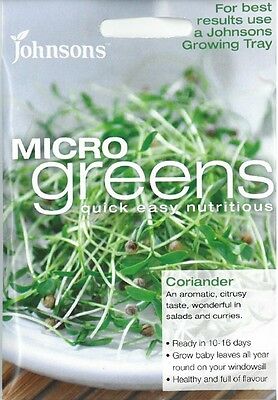 Microgreens Coriander Cilantro Seeds
