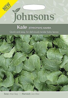 Kale Ethiopian Amara Seeds