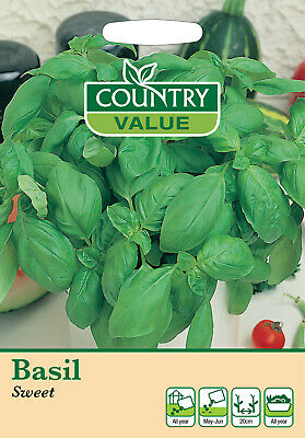 Basil Sweet Herb Seeds Country Value