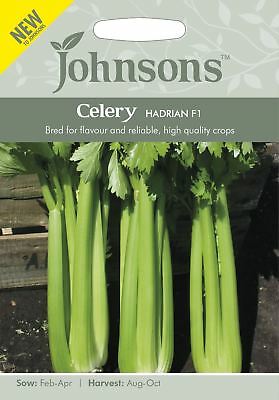Celery Hadrian F1 Seeds