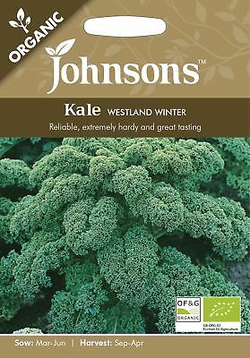 Kale Westland Winter Organic Seeds