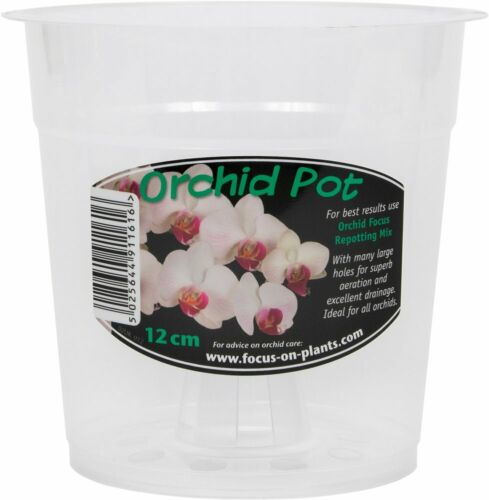 Orchid Pot 12cm Clear