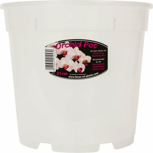 Orchid Pot 21cm Clear