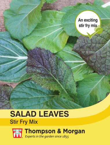 Salad Leaves Stir Fry Mix Seeds