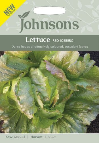 Lettuce Red Iceberg Seeds