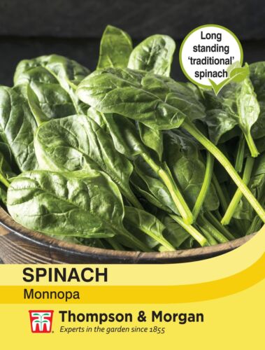 Spinach Monnopa Seeds