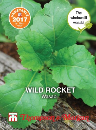 Rocket Wild Wasabi Herb Seeds