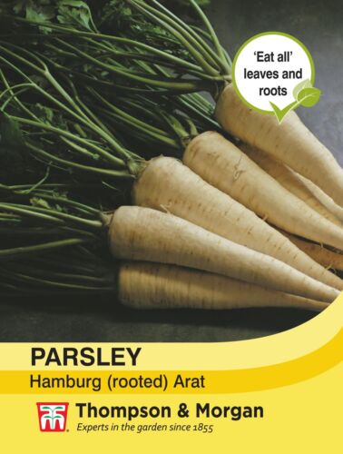 Parsley Hamburg Arat (Rooted) Herb Seeds