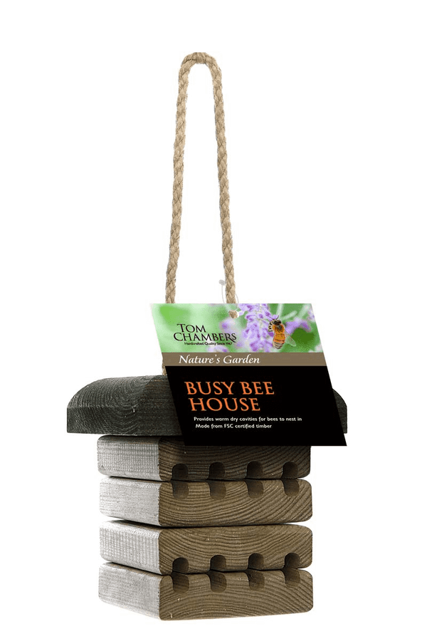 Busy Bee House