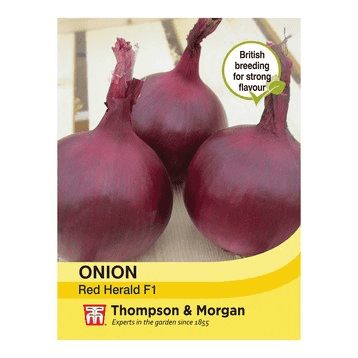 Onion Red Herald Seeds