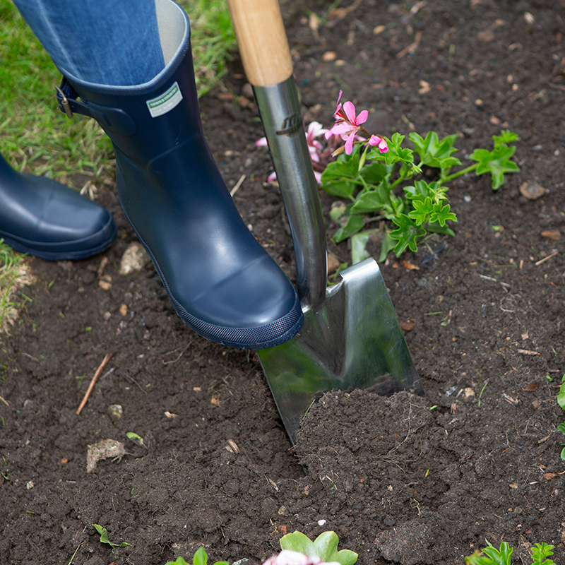 Stainless Steel Border Spade | Cornwall Garden Shop | UK