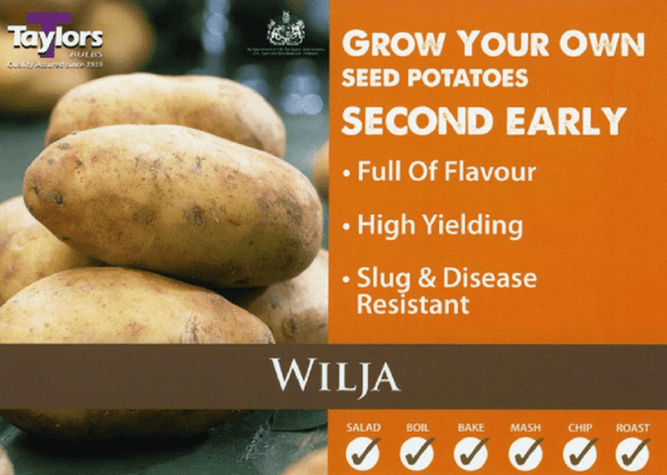 Wilja Second Early Seed Potatoes 2kg