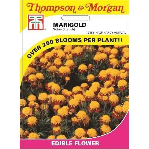 Marigold Solan (French) Flower Seeds