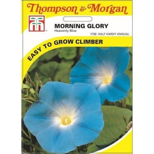 Morning Glory Heavenly Blue (Ipomoea) Flower Seeds