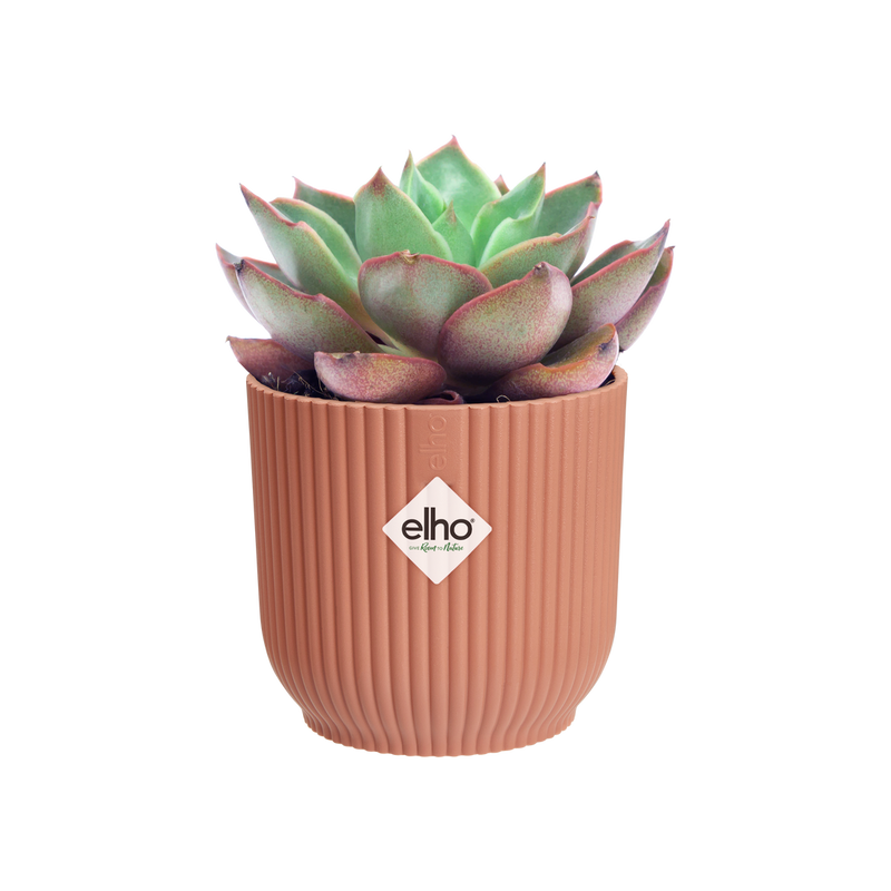 Vibes Fold Round Mini 7cm Delicate Pink | Cornwall Garden Shop | UK