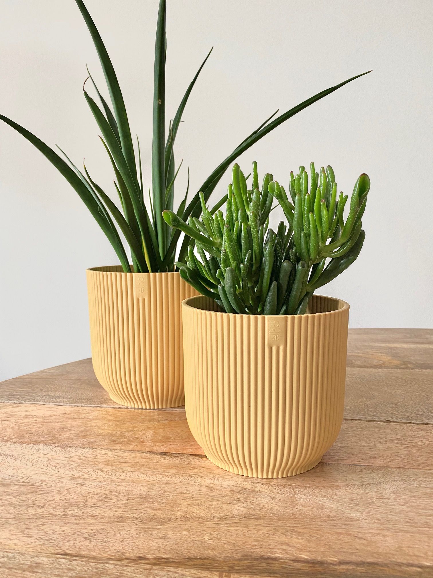Vibes 14cm Indoor Pot Butter Yellow