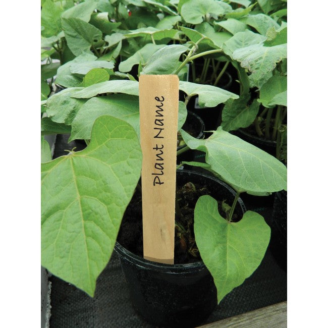 Plant Labels 4" (10cm) Wooden (10pk)