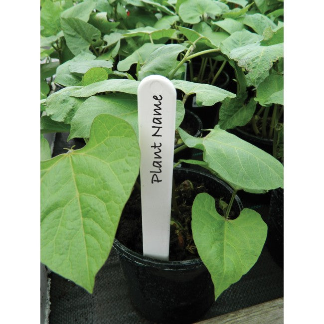 Plant Labels 4" (10cm) White (25pk)