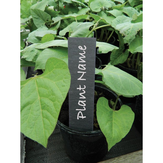 Plant Labels 5" (13cm) Slate (5pk)